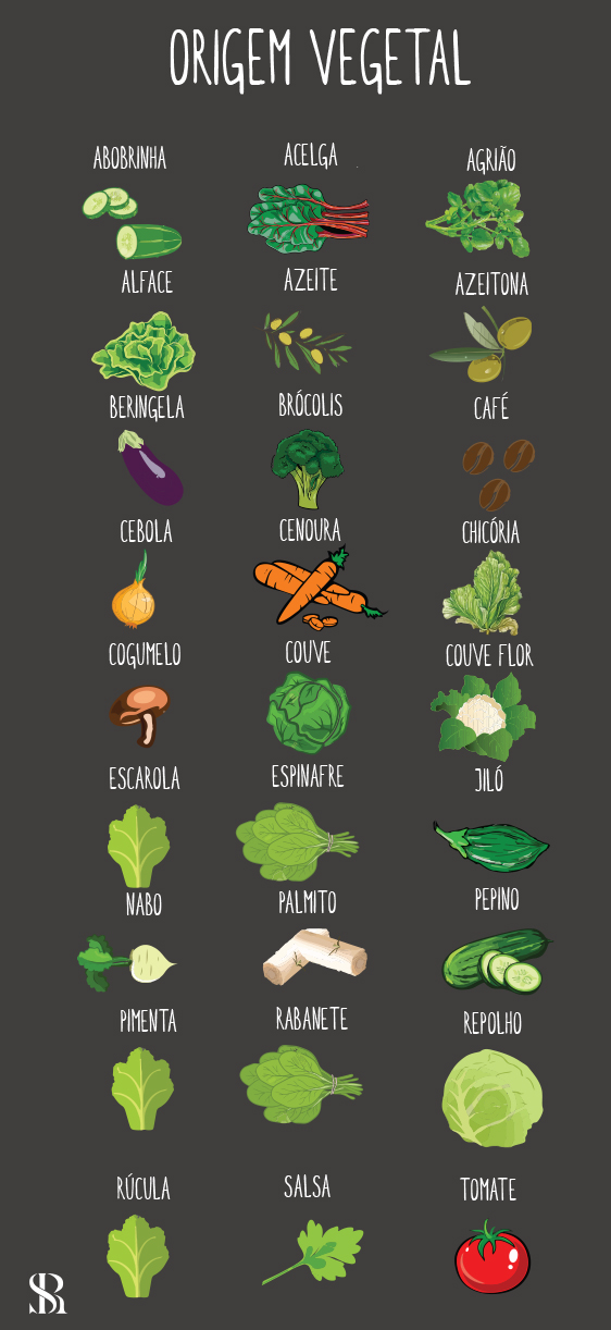 Conheça as proteínas de origem vegetal