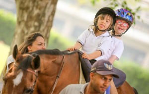 Equoterapia promove melhorias motoras e emocionais