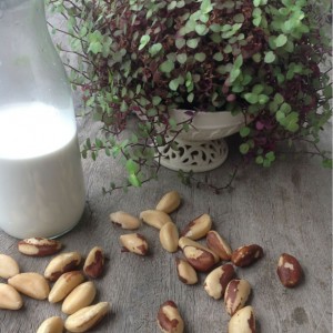 Leites vegetais : versões nutritivas e saudáveis para substituir o leite de origem animal
