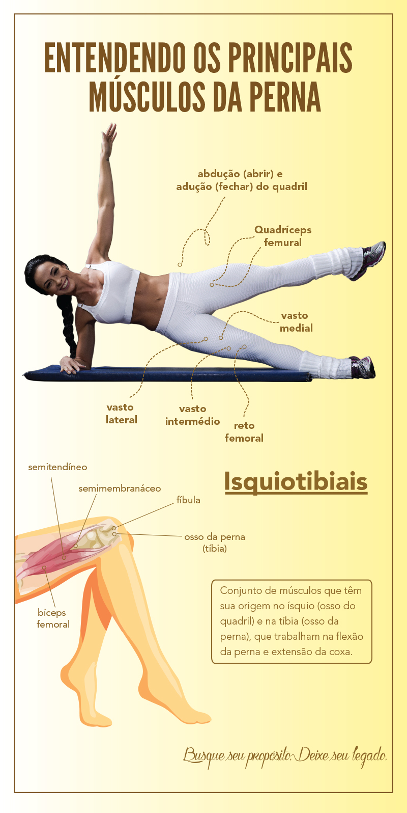 Principais músculos da perna
