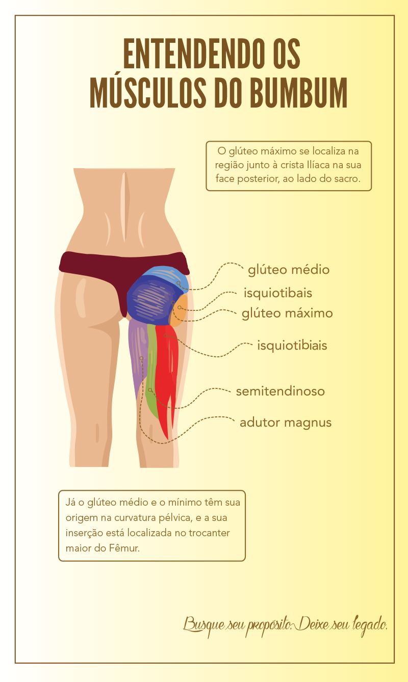 Conheça os músculos do bumbum