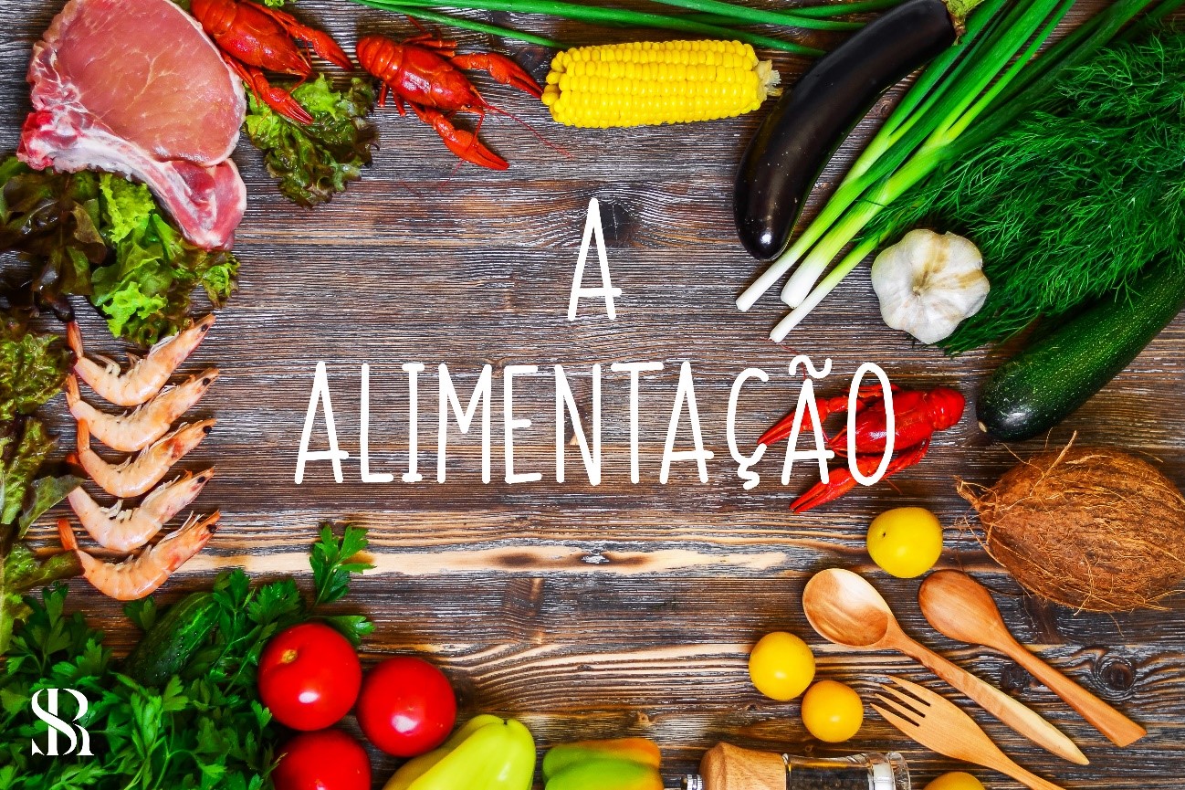 Alimentacao no ganho da massa