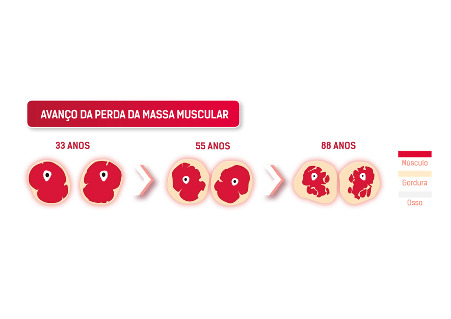 Perda de Massa Muscular ao longo da vida - Extima