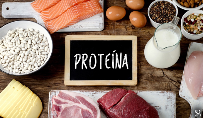 Importancia da proteina na alimentacao 