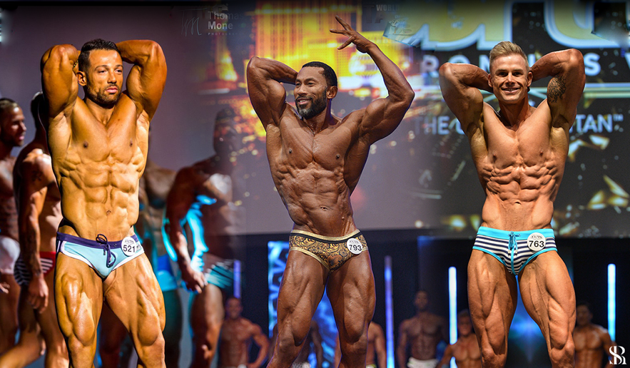 Categoria Mens Muscle Models WBFF - Renata Spallicci 