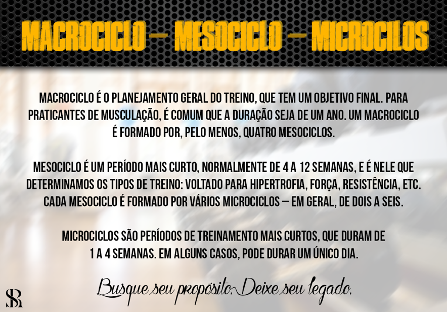 Como periodizar seu treino - Marcelo Santana